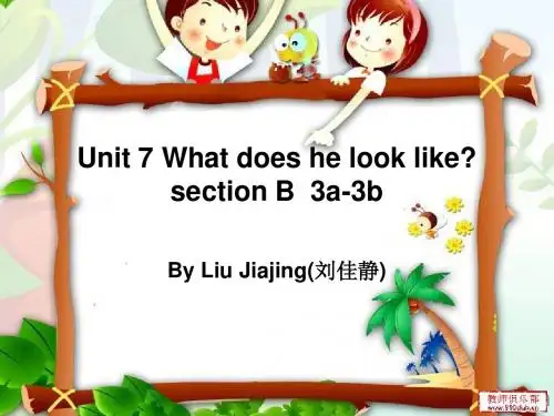 人教版Go for it! 初中版 Unit 7 What does he look like Section B