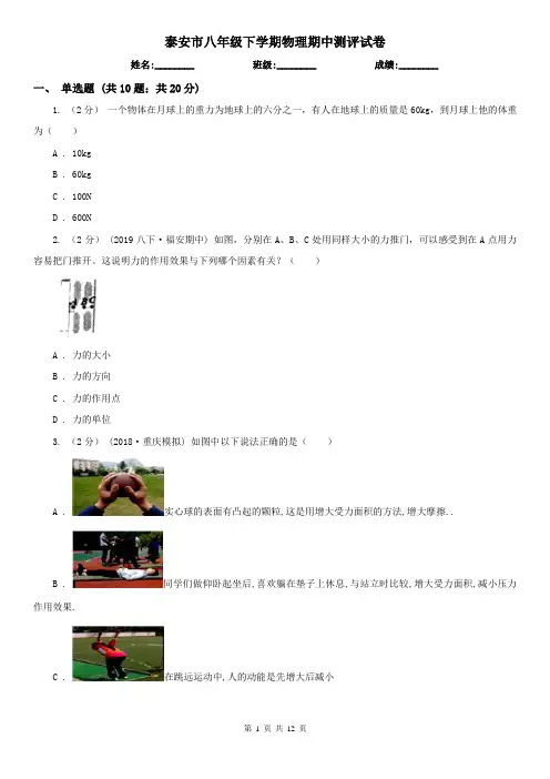 泰安市八年级下学期物理期中测评试卷
