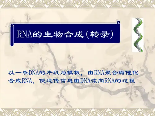 RNA合101120