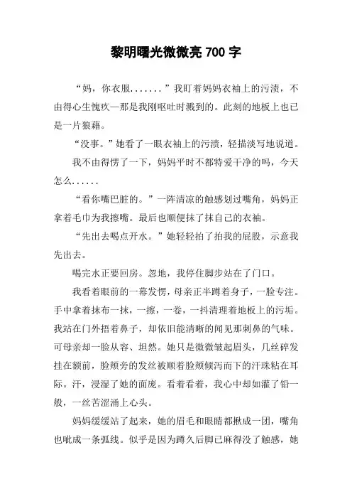 作文-黎明曙光微微亮700字