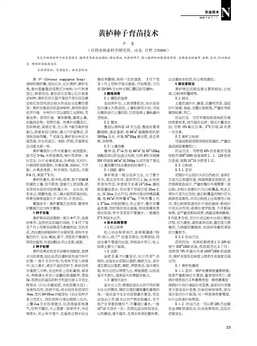 黄栌种子育苗技术