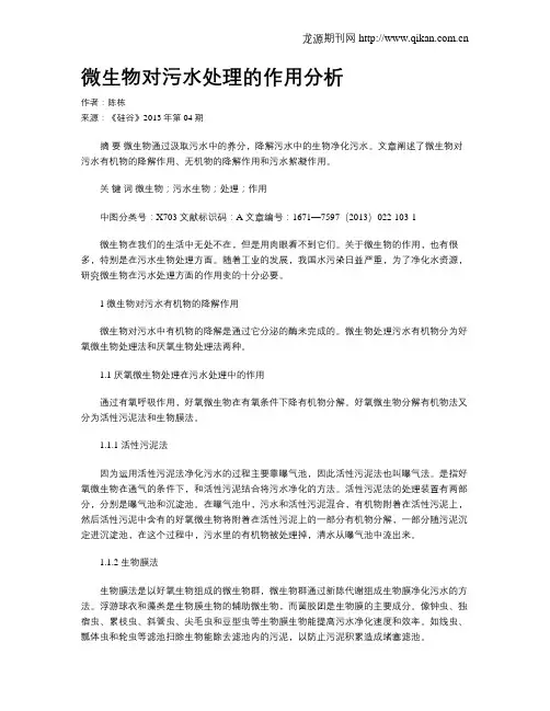 微生物对污水处理的作用分析