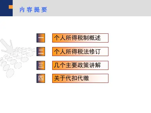 个人所得税涉税筹划与风险防范培训班课件江涛46页