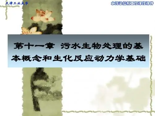 第十一章 污水生物处理的基本概念和生化反应动力学基础要点