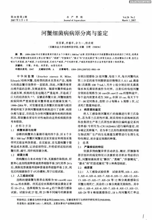 河蟹细菌病病原分离与鉴定