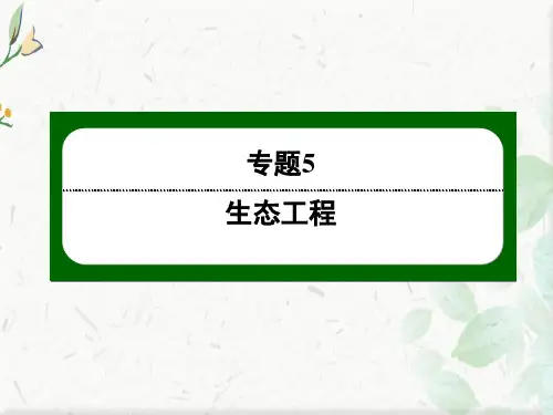 人教版生物选修3作业课件:5-2 生态工程的实例和发展前景