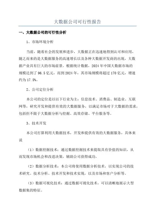 大数据公司可行性报告