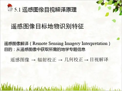 遥感图像目视解译与制图分析PPT.