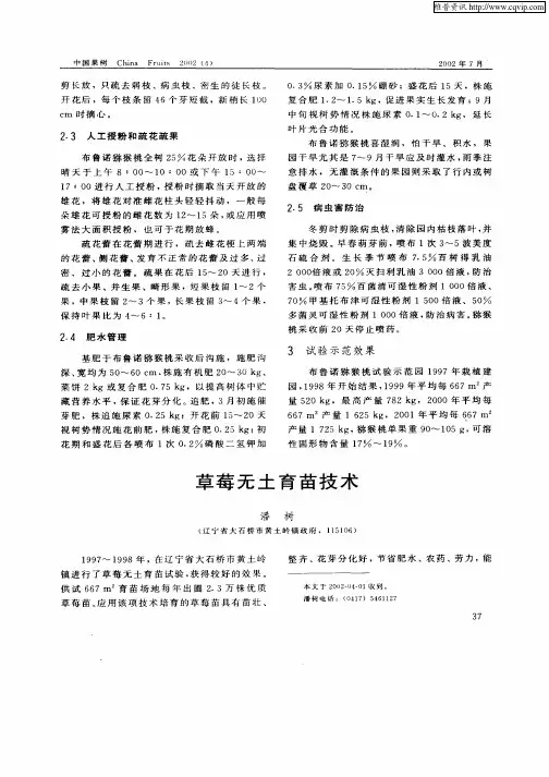 草莓无土育苗技术