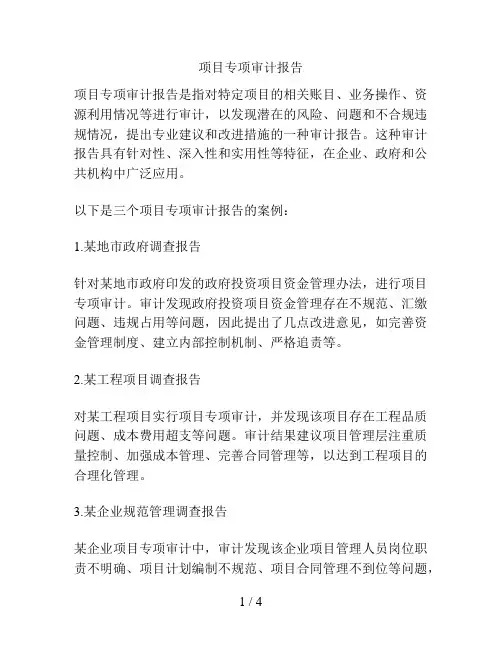 项目专项审计报告