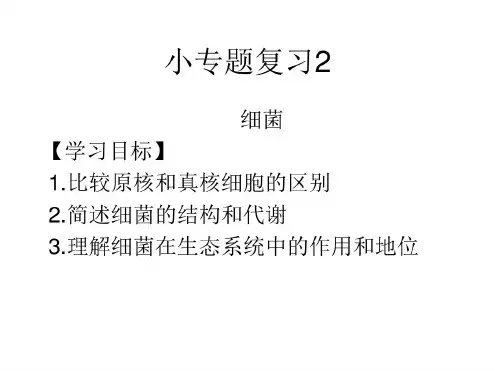 高中生物小专题复习细菌.ppt