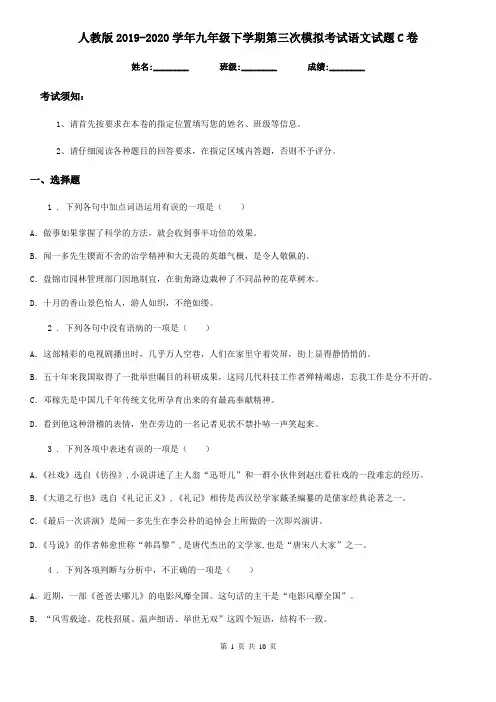 人教版2019-2020学年九年级下学期第三次模拟考试语文试题C卷