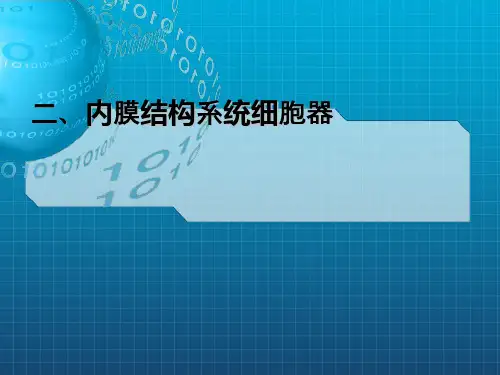 《医学生物学课本》PPT课件