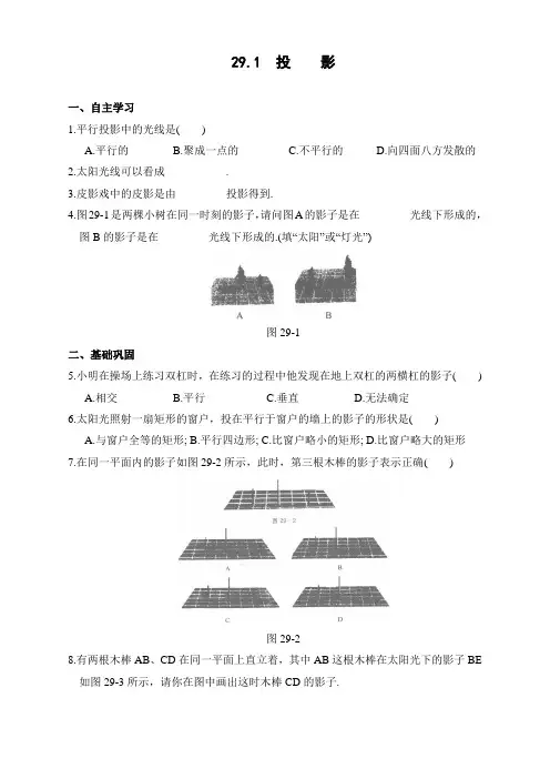 人教版九年级数学下册29.1 投影同步练习【精】