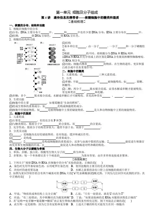 第4讲 遗传信息的携带者——核酸细胞中的糖类和脂质