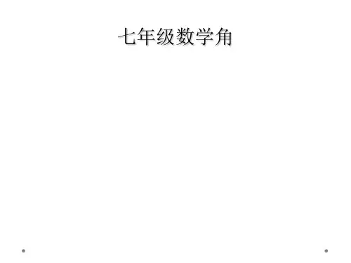 七年级数学角