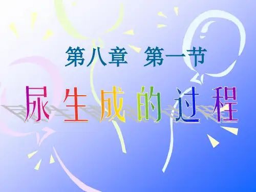 生理学 第八章 尿的生成与排放