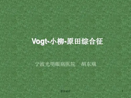 Vogt-小柳-原田综合征