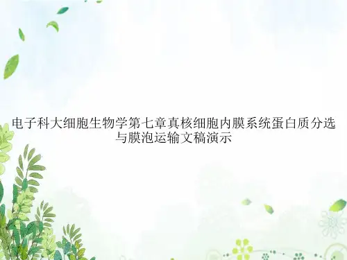 电子科大细胞生物学第七章真核细胞内膜系统蛋白质分选与膜泡运输文稿演示