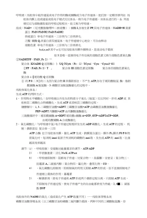 北医本科课件《生物化学》生化总结第二部分.docx