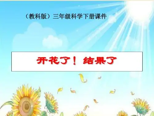 1.6开花了_结果了_1
