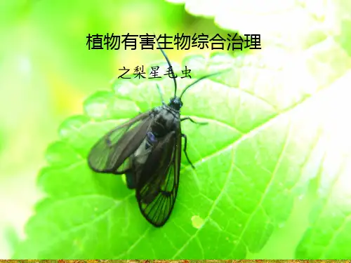 植物有害生物综合治理