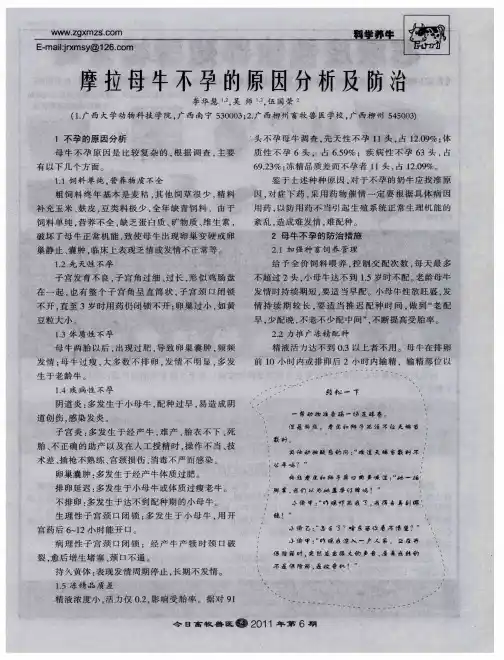 摩拉母牛不孕的原因分析及防治