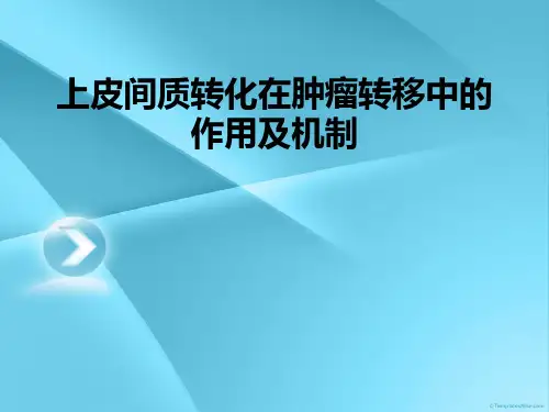 上皮间质转化在肿瘤转移中的作用及机制
