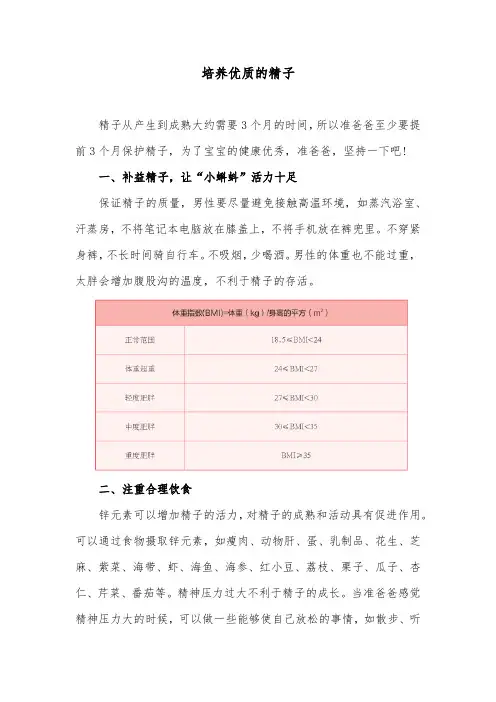 男性如何培养优质的精子备孕