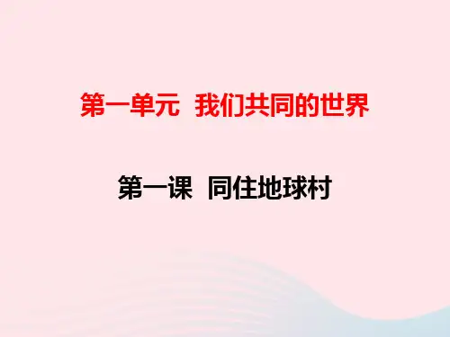 新人教版道德与法九年级下册第一课 第一框