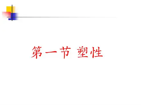 第十二章塑形和屈服准则