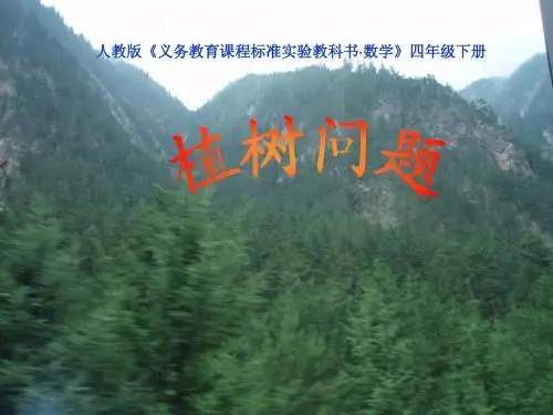 植树问题2