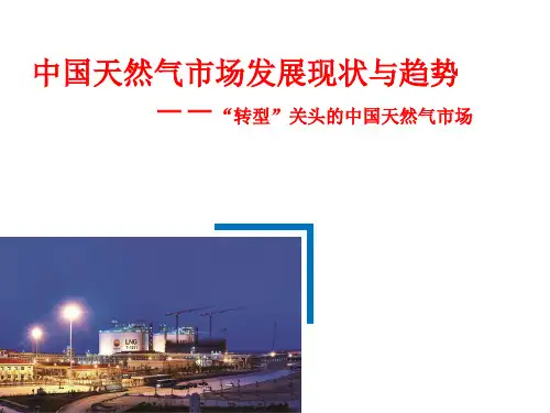 中国天然气市场发展现状与趋势