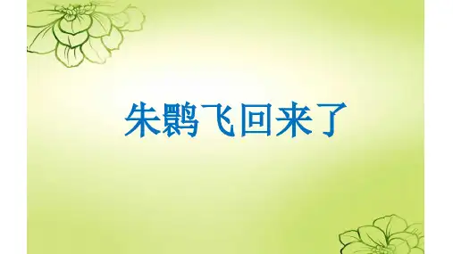 北师大版四年级语文下册《二 回归  朱鹮飞回来了》公开课课件_1