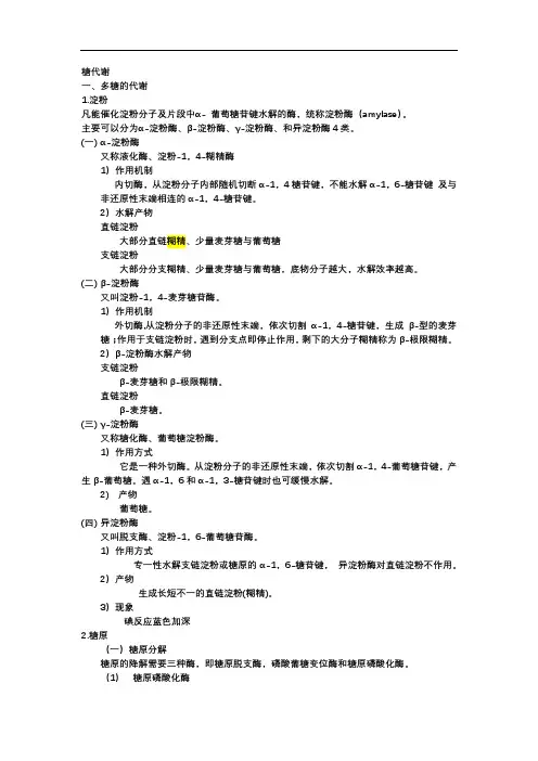 生物化学 糖代谢