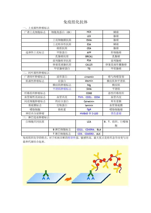 免疫组化