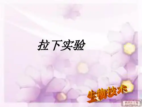 拉下实验