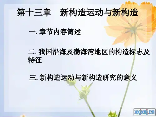 第十三章 新构造运动与新构造
