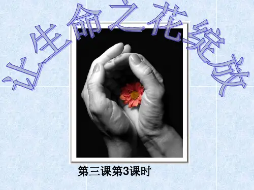 让生命之花绽放