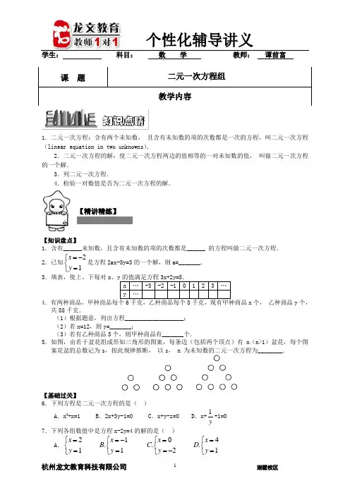 辅导讲义：二元一次方程组