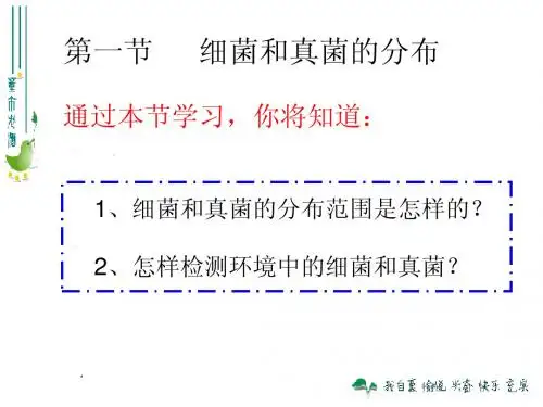 第一节_细菌和真菌的分布
