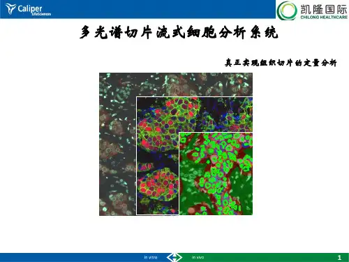 多光谱切片分析系统