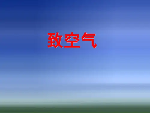 致空气 ppt (语文版)八年级下册PPT课件