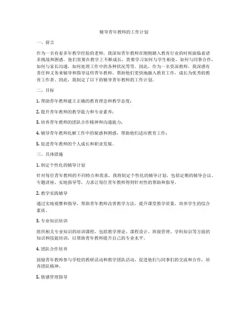 辅导青年教师的工作计划