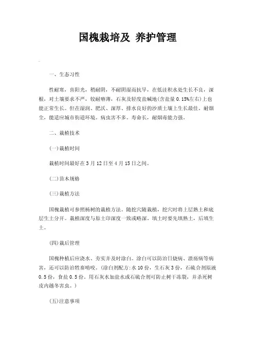 国槐栽培及养护管理