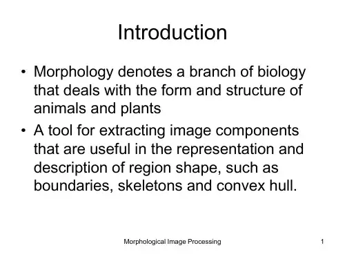 Morphology