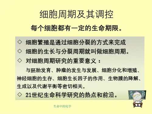 生命中的化学