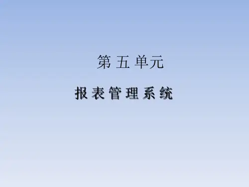报 表 管 理 系 统