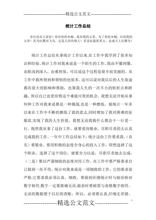 统计工作总结 2