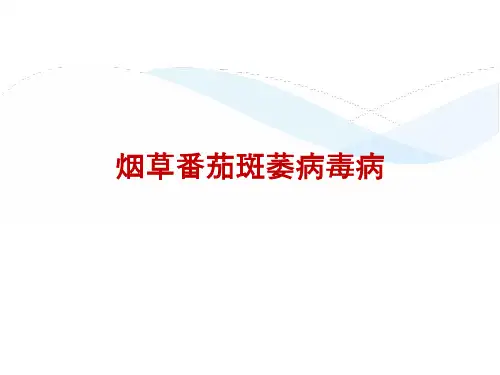 烟草番茄斑萎病毒病